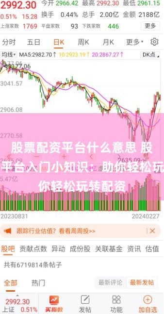 股票配资平台什么意思 股票配资平台入门小知识:助你轻松玩转配资