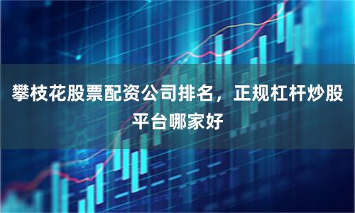 攀枝花股票配资公司排名，正规杠杆炒股平台哪家好